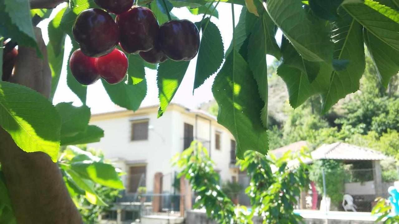 Casa Rural Las Huertas De Roque Monachil Bagian luar foto