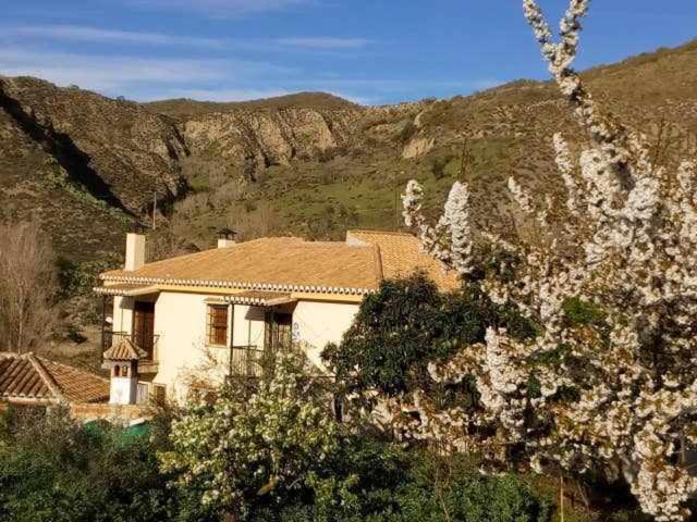 Casa Rural Las Huertas De Roque Monachil Ruang foto