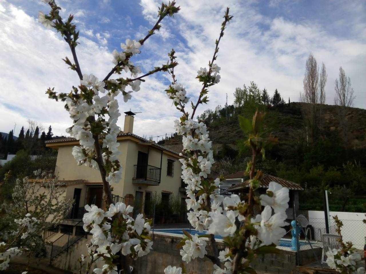 Casa Rural Las Huertas De Roque Monachil Ruang foto