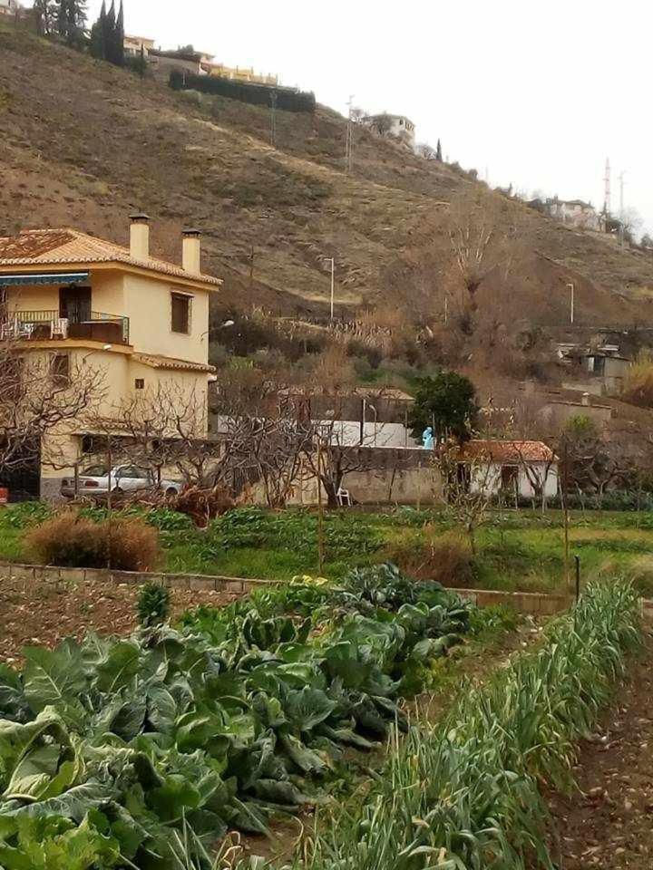 Casa Rural Las Huertas De Roque Monachil Ruang foto